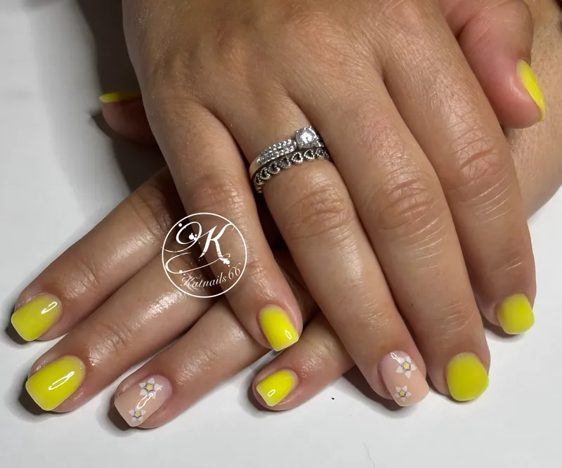 Réalisation Katnails66 9